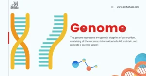 Download Genome Organization Past Paper for Revision