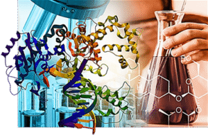 Nutritional Biochemistry Exam Past Paper for Revision
