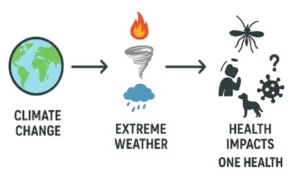 Climate Change And Health Exam Past Paper