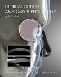  Ocular Anatomy and Physiology Exam Past Paper