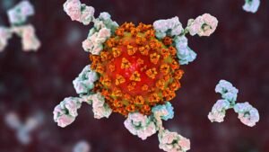 Foundation of Immunology Exam Past Paper