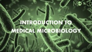 Introduction To Medical Microbiology Exam Past Paper 