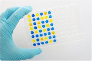 Immunochemistry Past Paper for Revision 2026