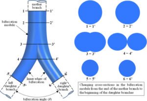Bifurcation and Dynamics Past paper