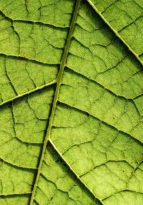  Applied Biogeography Exam Past Paper 