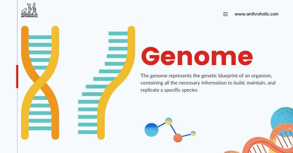 Download Genome Organization Past Paper for Revision
