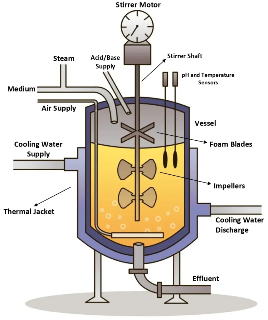 Are you preparing for your Bioreactor exams and looking to download past papers for revision? Past papers are essential tools for students who want to revise efficiently and gain insight into exam patterns and key topics. This guide explains everything you need to know about accessing and using Bioreactor exam past papers for effective preparation. What Is a Bioreactor Exam Past Paper? A Bioreactor exam past paper is a collection of questions from previous assessments covering bioreactor principles, design, operation, and process optimization. These past papers are a valuable resource for students in biotechnology, chemical engineering, or related courses. Students searching for “Bioreactor past paper PDF download” are typically seeking practice material to: Understand the exam format Identify commonly tested topics Gain confidence in solving practical and theoretical questions Why Use Bioreactor Past Papers for Revision? One of the most common questions students ask is: “Why are past papers important for Bioreactor exams?” Using past papers helps you: Familiarize yourself with exam structure and marking schemes Improve time management during the exam Focus on high-yield topics such as stirred-tank reactors, aeration, scale-up, and process control Evaluate your understanding and pinpoint weak areas for targeted study Regular practice with past papers increases your confidence and exam readiness. How to Download Bioreactor Exam Past Papers Many students search: “Where can I download Bioreactor exam past papers?” Follow these steps to access the past papers: Visit a trusted educational or university website offering exam resources. Navigate to the Bioreactor past papers section. Click Download PDF to save the file to your device. Print it or keep it on your device for offline study and practice. Always ensure the source is reliable to avoid incomplete or outdated papers. Effective Tips for Using Bioreactor Past Papers After downloading, make your practice more effective by: Simulating exam conditions – solve the paper within the allocated time. Checking your answers against textbooks, notes, or model solutions. Identifying weak areas – repeat questions on topics you find difficult. Monitoring recurring concepts – frequently tested topics often appear in multiple years. Using these strategies will maximize your revision efficiency. Frequently Asked Questions (FAQs) Is the Bioreactor past paper free to download? Yes, most reputable educational portals provide free PDF downloads. Can I use past papers from previous years? Absolutely. Older papers are valuable because concepts and question patterns rarely change. How often should I practice past papers? Weekly practice is ideal, combined with lecture notes and textbooks for thorough preparation. Are past papers enough for exam preparation? While essential, they should complement your study materials, including textbooks, lecture notes, and practical exercises.