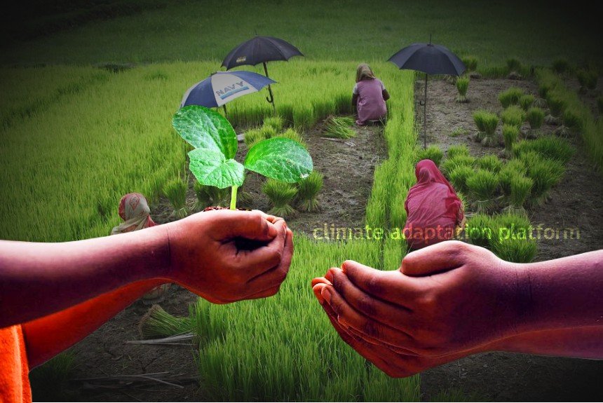 Climate Change And Adaptation In Agriculture Exam Past Paper